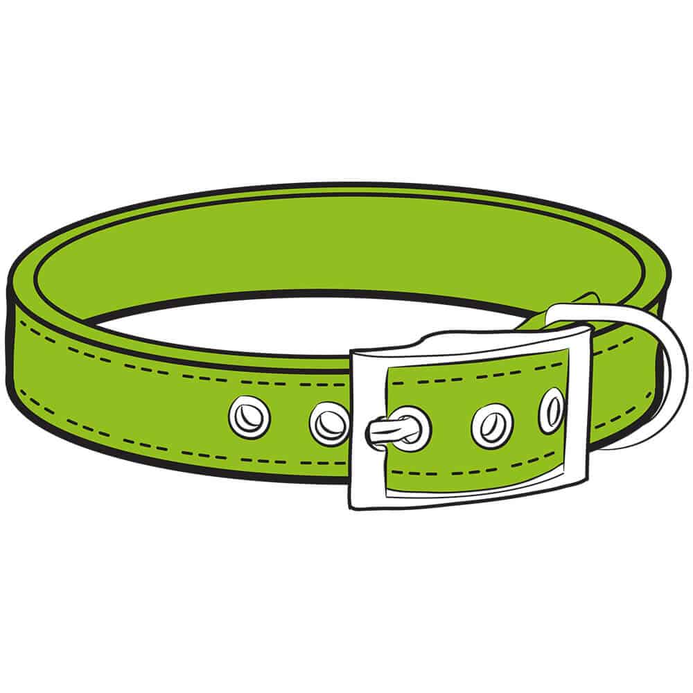 Dog Collars
