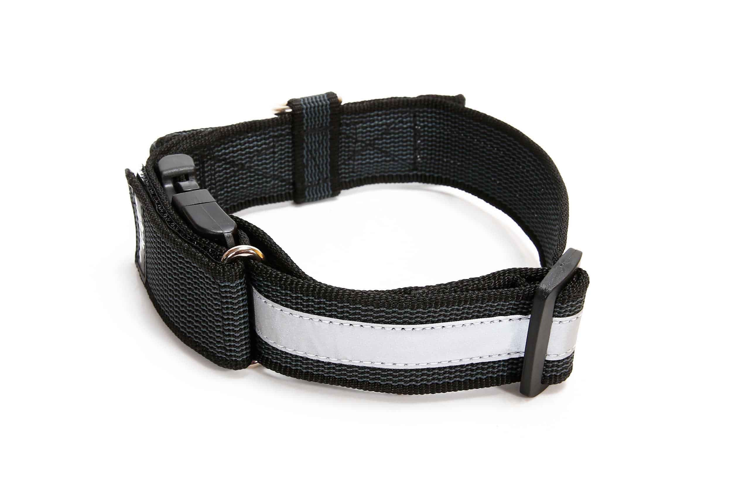 Julius K9 Collar with Handle Color & Gray Collar with Handle
