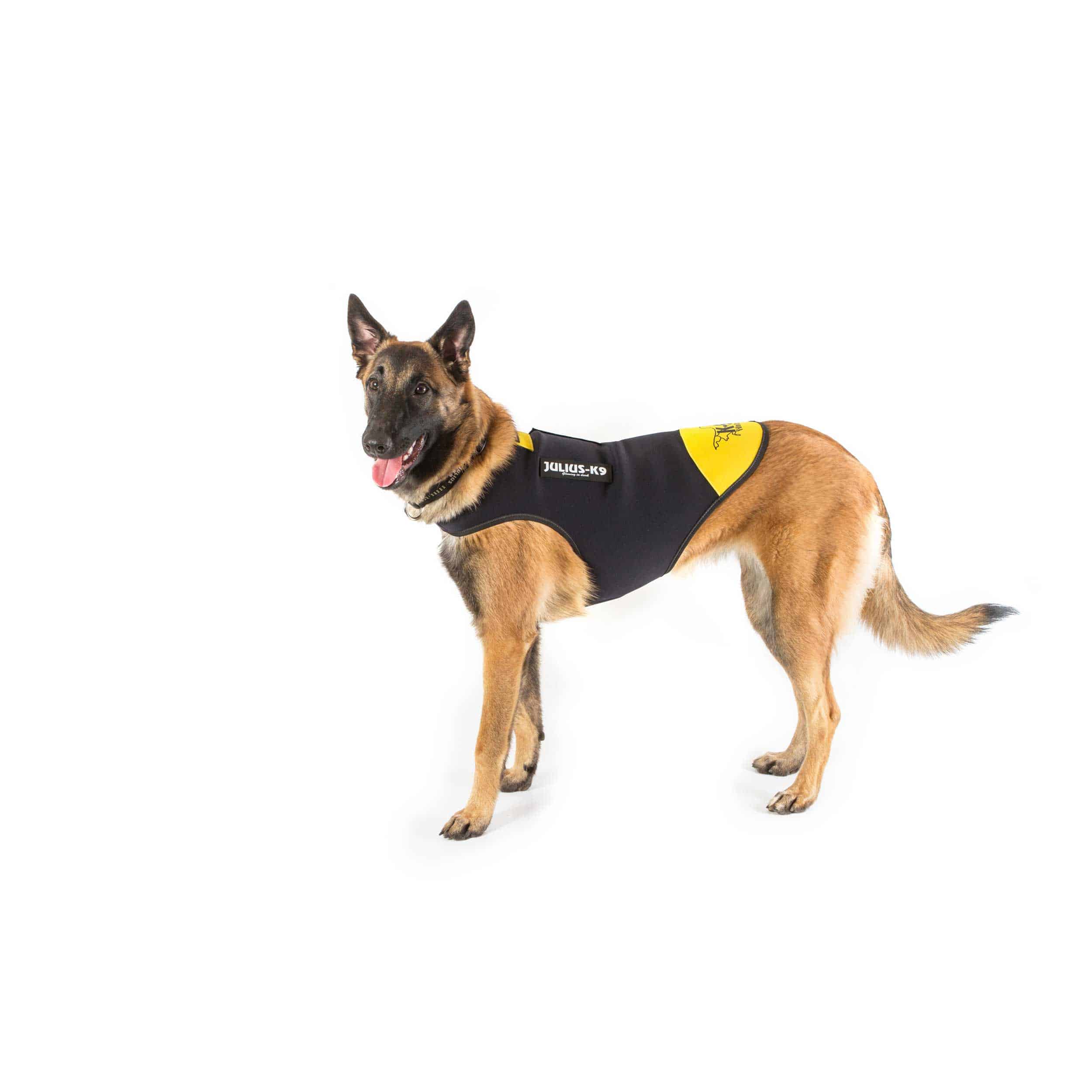 Reflective Neoprene Dog Jacket JuliusK9 Neoprene IDC® Dog Jacket