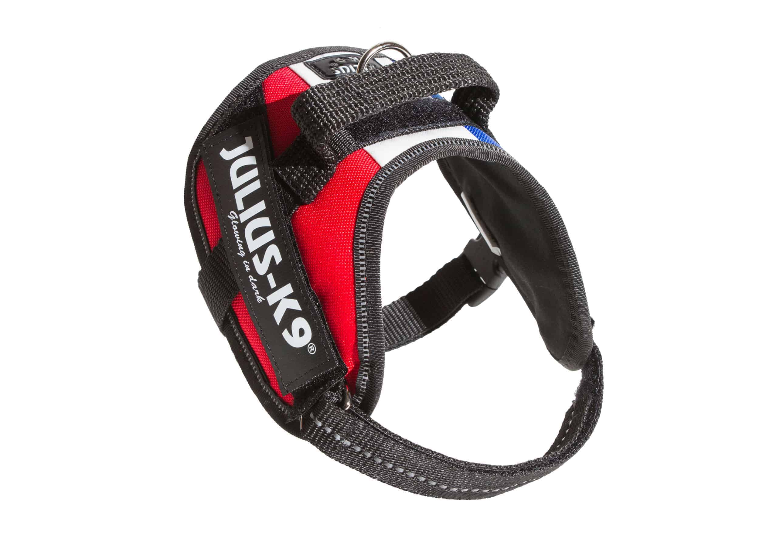 Julius K9 IDC K9 IDC Flag Harness Products Direct