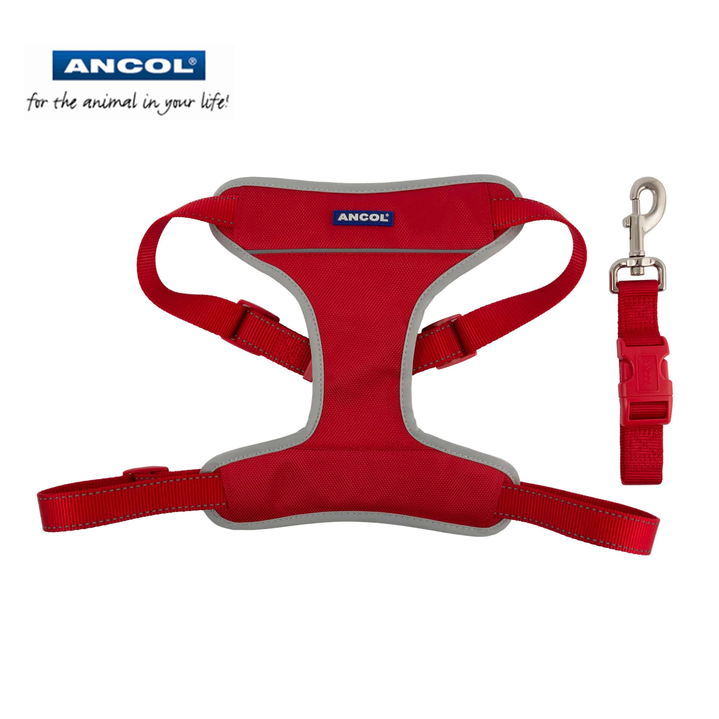 Dog Travel Harness Ancol Travel Dog Harness Direct