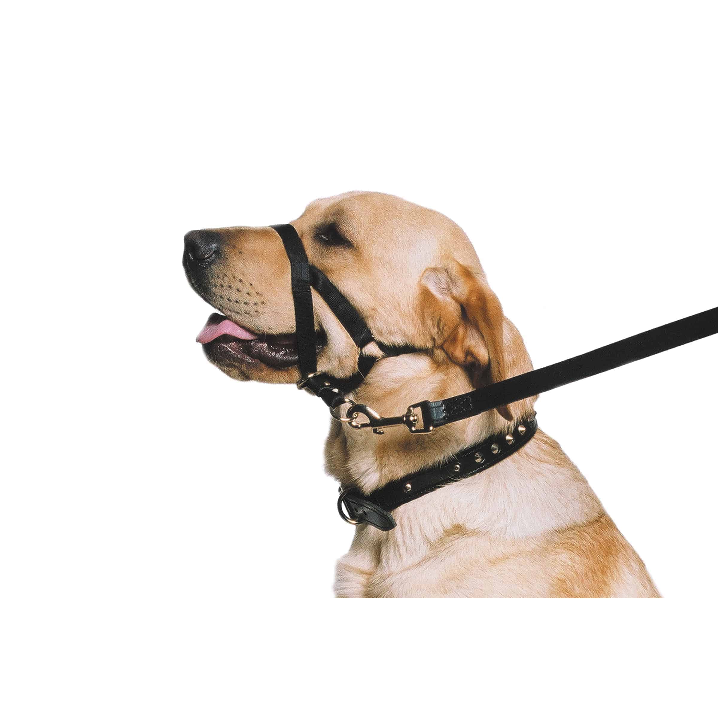 Head Halter Slip Collar Leash For Dogs Halter Slip Lead Stopper