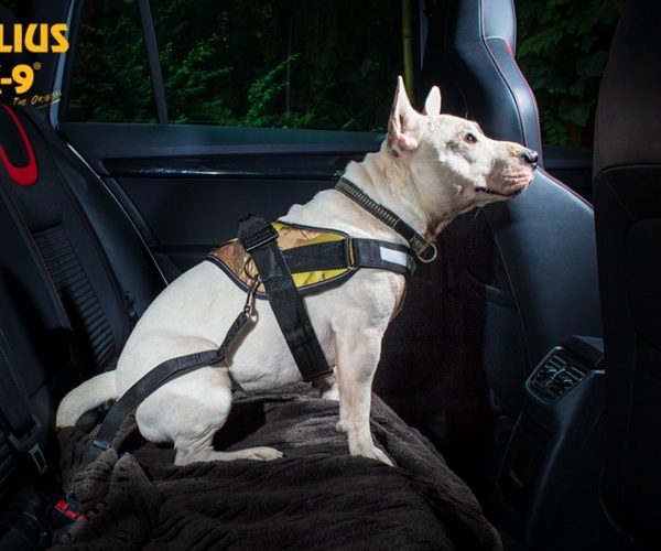 Seat belt adapter for dogs Black Size: 2 Julius-K9