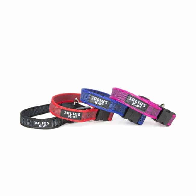 Julius K9 Collar K9 Color & Gray Collar Products Direct