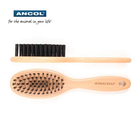 kitten hair brush
