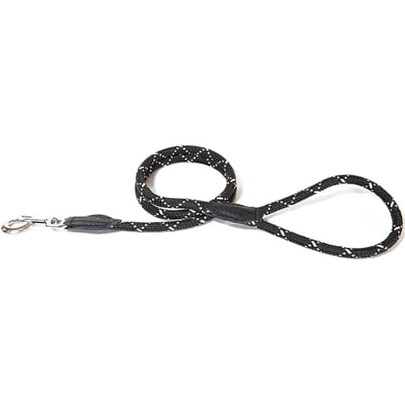 Dog Nylon Leads