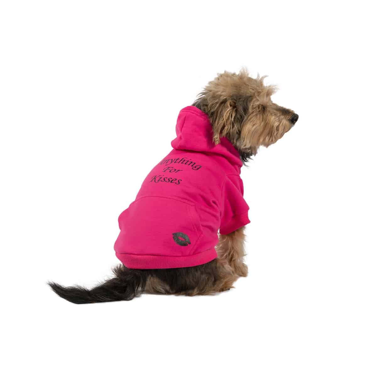Ancol Dog Winter Hoodie Warm Cute Puppy Jacket Jumper Sweater Clothing