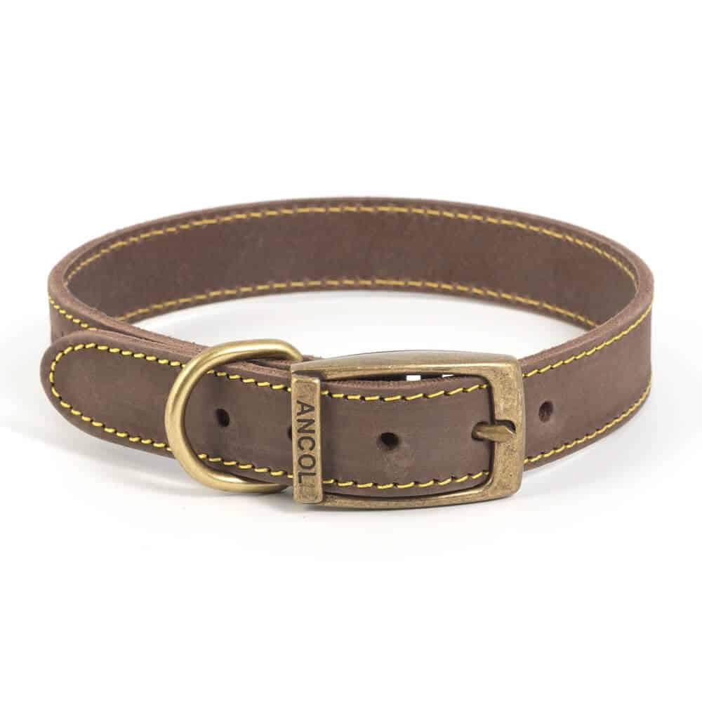 Timberwolf Dog Collar Ancol Timberwolf Leather Collar Products