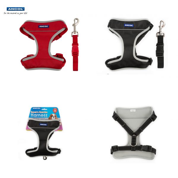 Dog Travel Harness Ancol Travel Dog Harness Direct