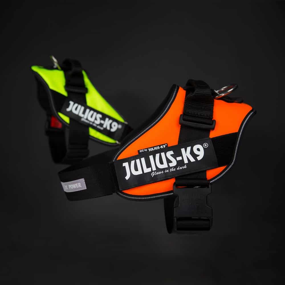 JuliusK9 IDC High Visibility Powerharness Julius K9 IDC Harness