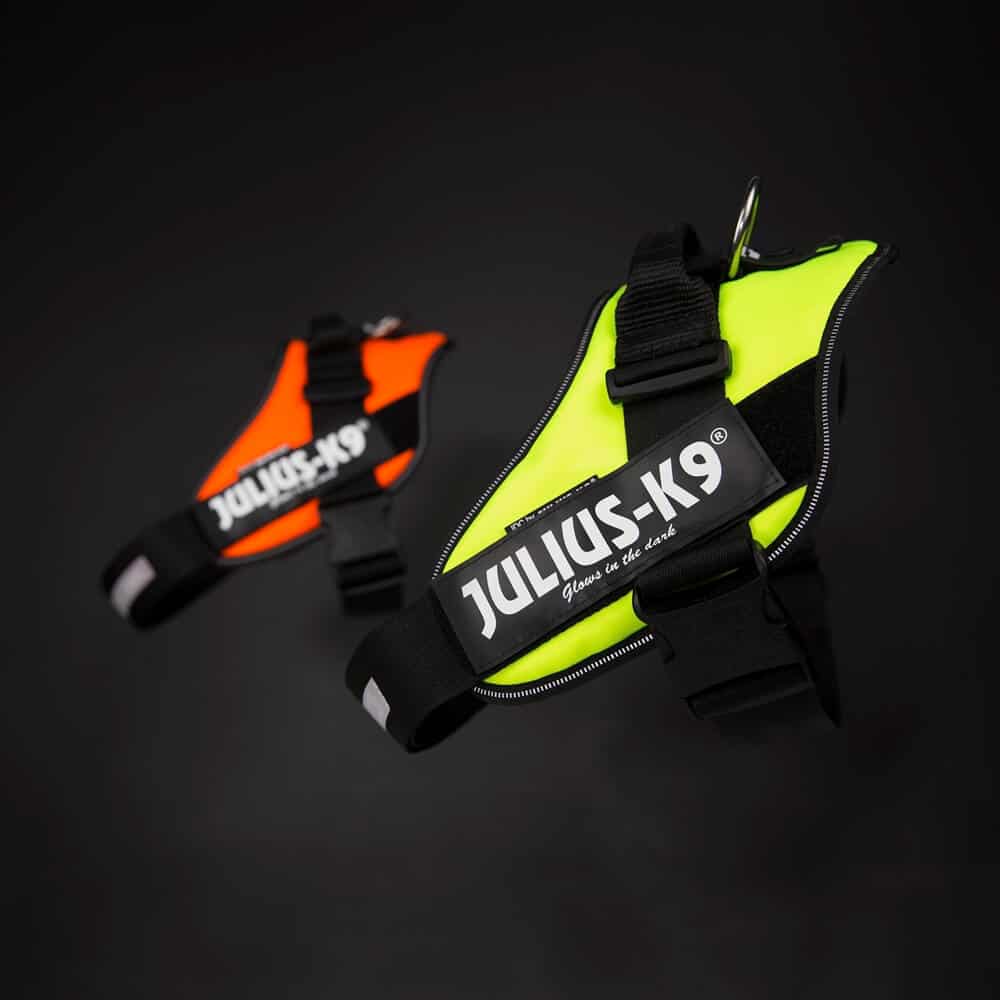 JuliusK9 IDC High Visibility Powerharness Julius K9 IDC Harness