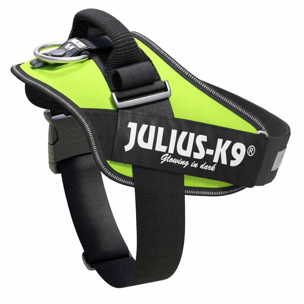 JuliusK9 IDC High Visibility Powerharness Julius K9 IDC Harness