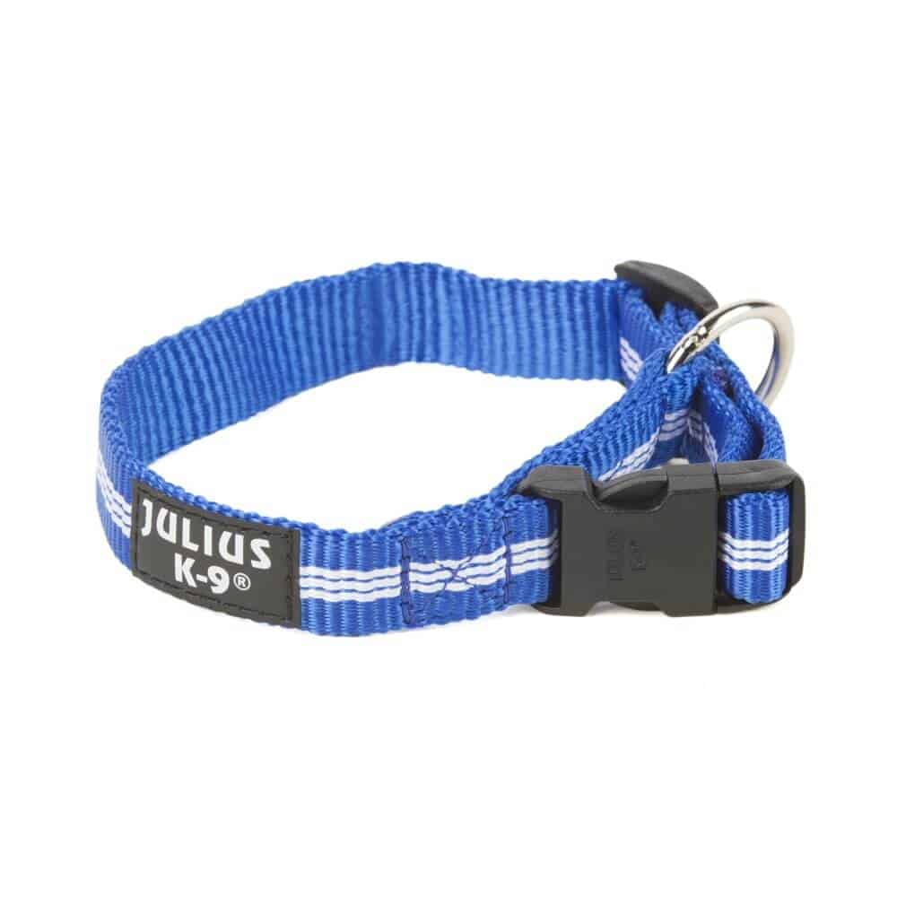 JuliusK9 IDC® Tubular bing Dog Collar Pet Shop Direct