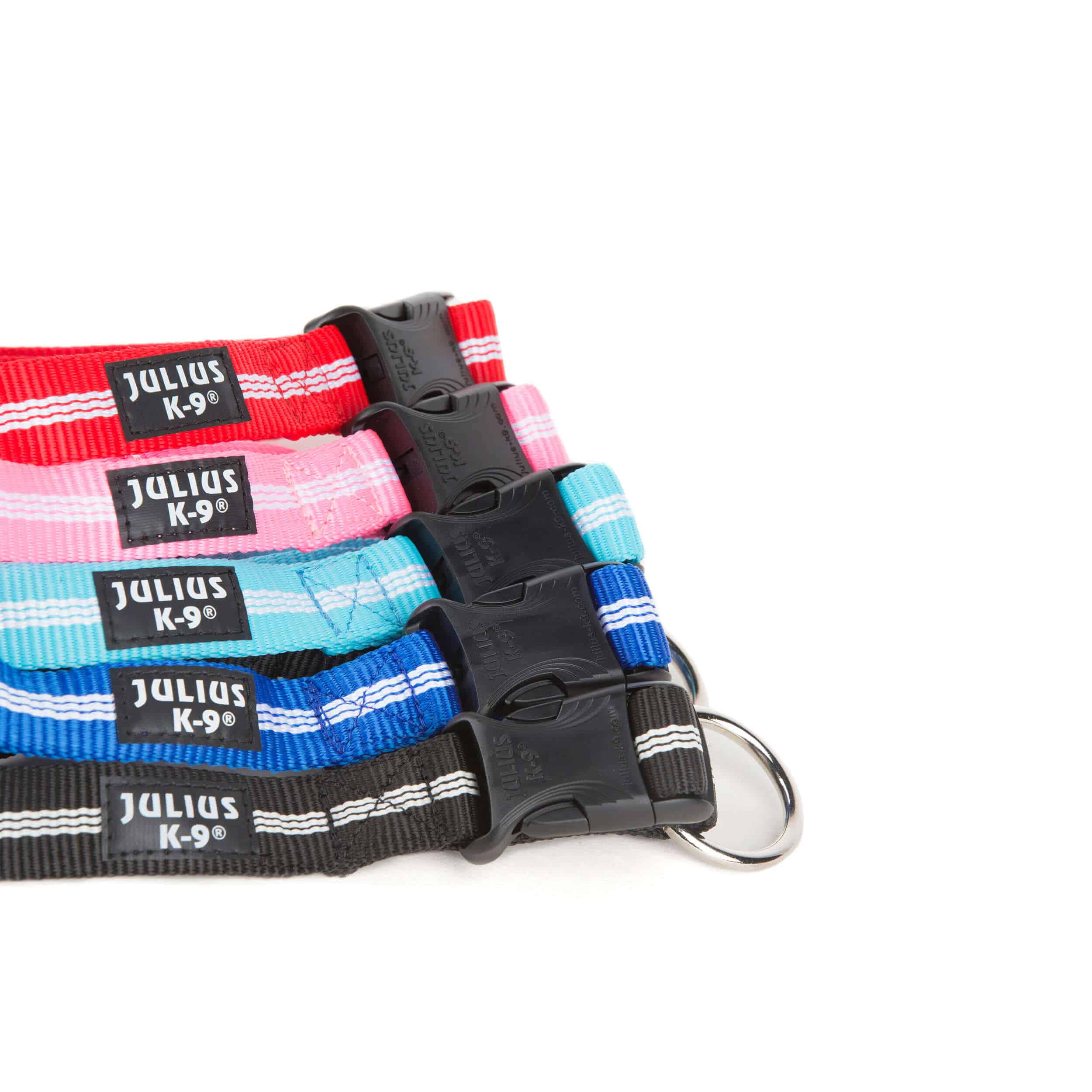 JuliusK9 IDC® Tubular bing Dog Collar Pet Shop Direct