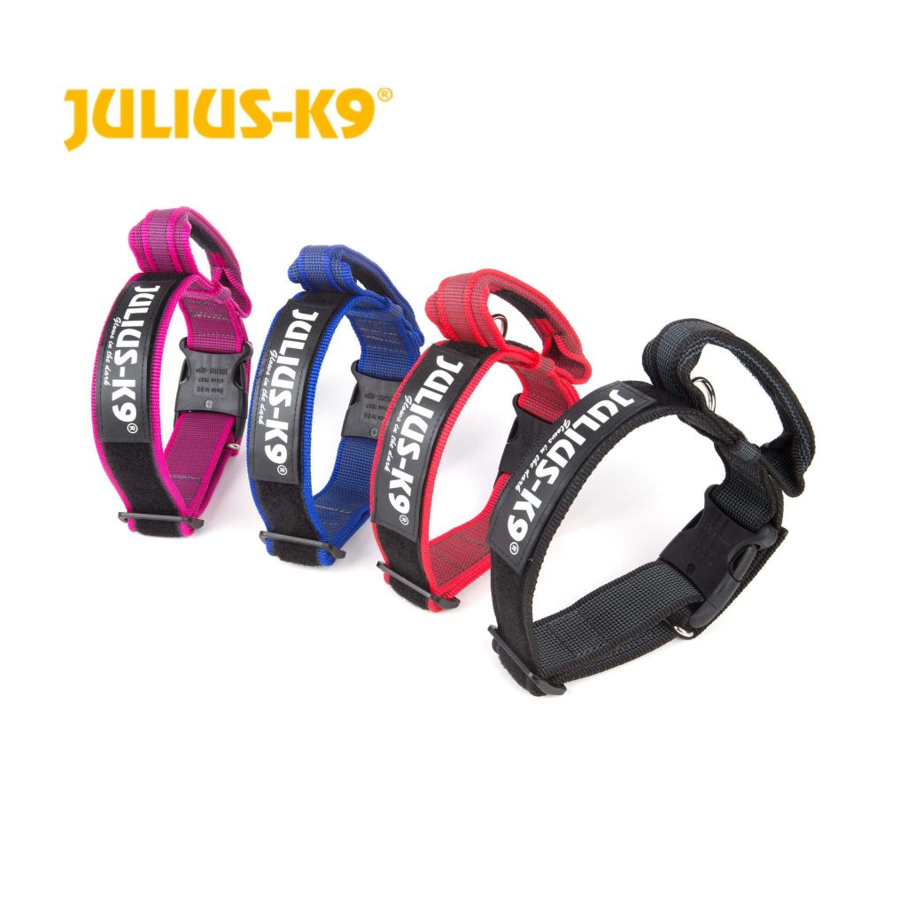 Julius K9 Collar with Handle Color & Gray Collar with Handle