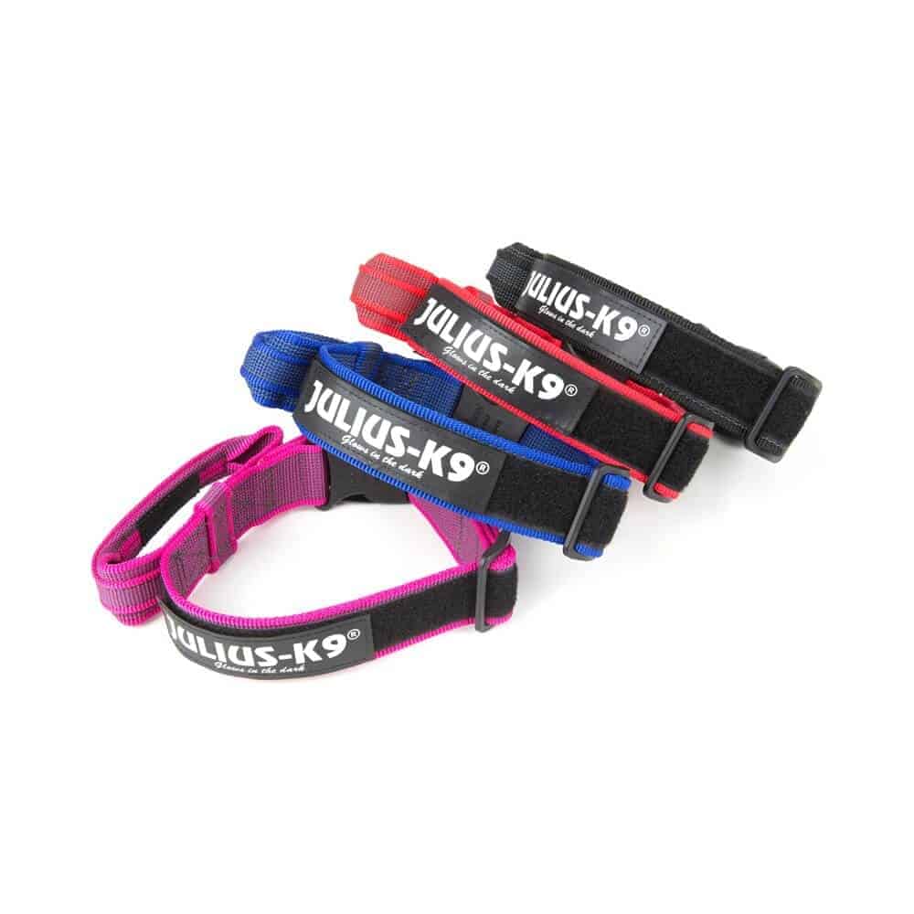 Julius K9 Collar with Handle Color & Gray Collar with Handle