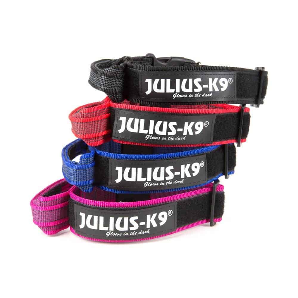 Julius K9 Collar with Handle Color & Gray Collar with Handle