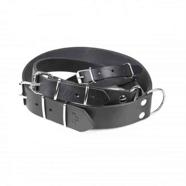 JuliusK9 Riveted leather dog collar Pet Shop Direct