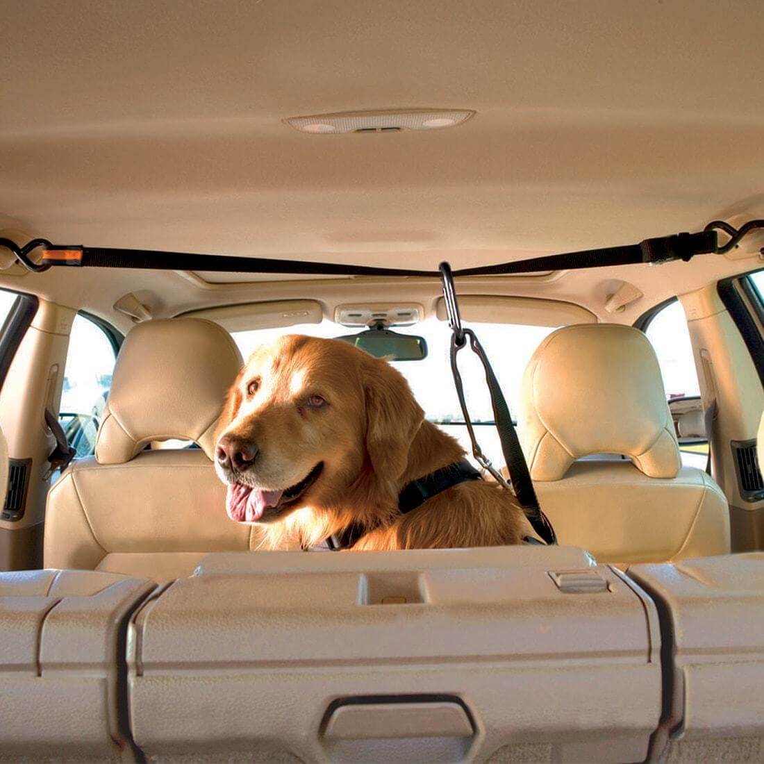 Kurgo Auto Zip Line Keeps Pets Restrained Direct