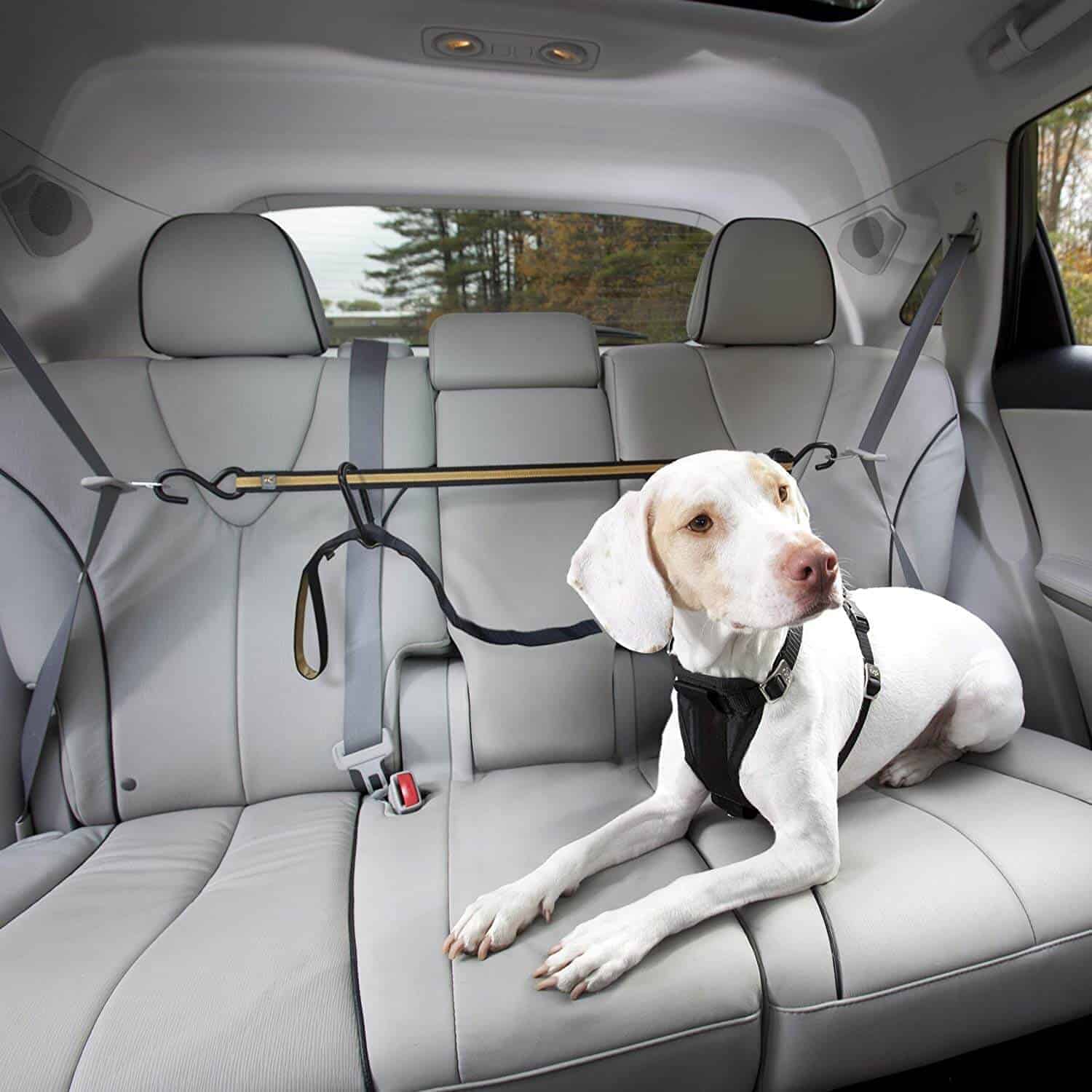 harness dog car safety seat belt