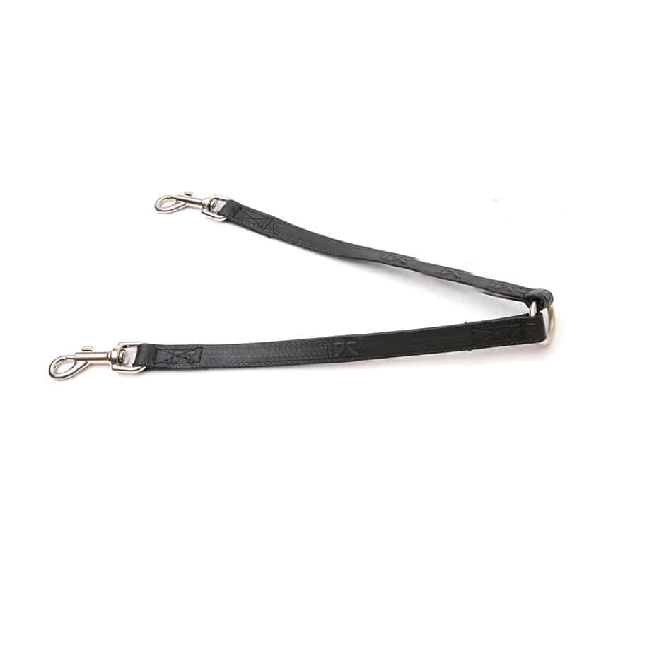 Other Dog Leads