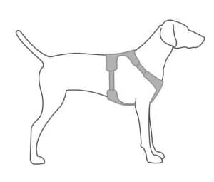 ruffwear harness sizing